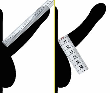 measuring the diameter of the penis before enlargement